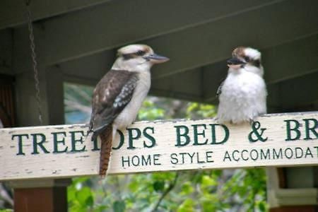 Treetops Bed & Breakfast Blackburn Exteriör bild